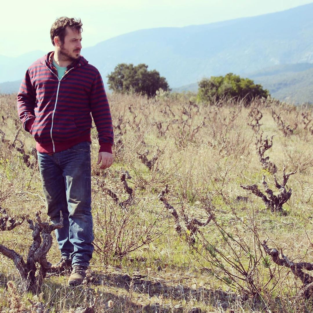 Vins_Roussillon's tweet photo. Une nouvelle génération de vignerons a choisi le Roussillon comme terroir pour exprimer leur talent.
Merci à Terresblanches pour la photo !
#CIVR #VinsDuRoussillon #Roussillon #SudDeFrance https://t.co/W5szGPm3WK