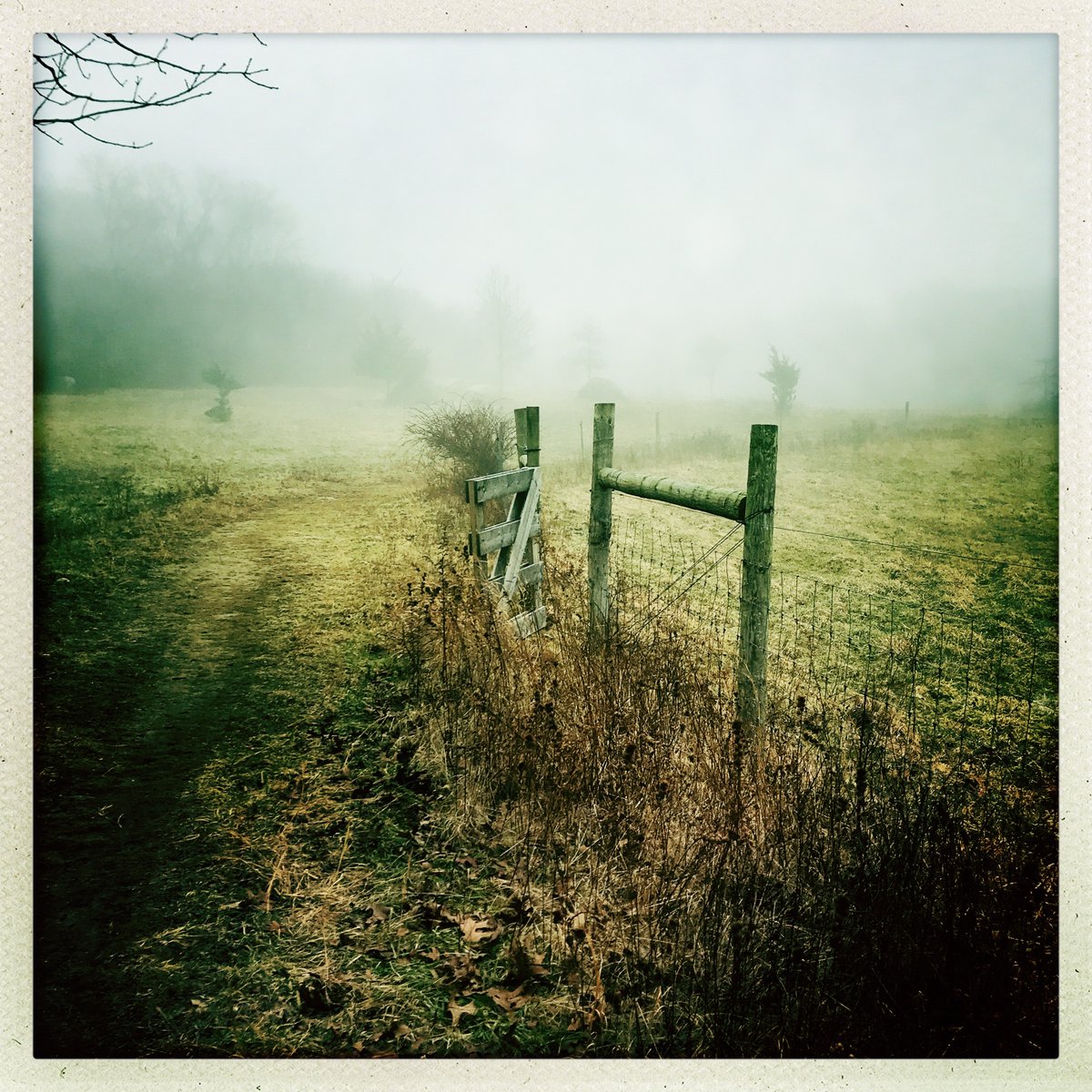 The third ##guidedwalk of the winter season will take place this Sunday, February 2nd at #PeakedHill Reservation in Chilmark.  The walk goes rain or shine so dress according to the weather.  Meet at the trailhead off Pasture Hill Road at 1 p.m.