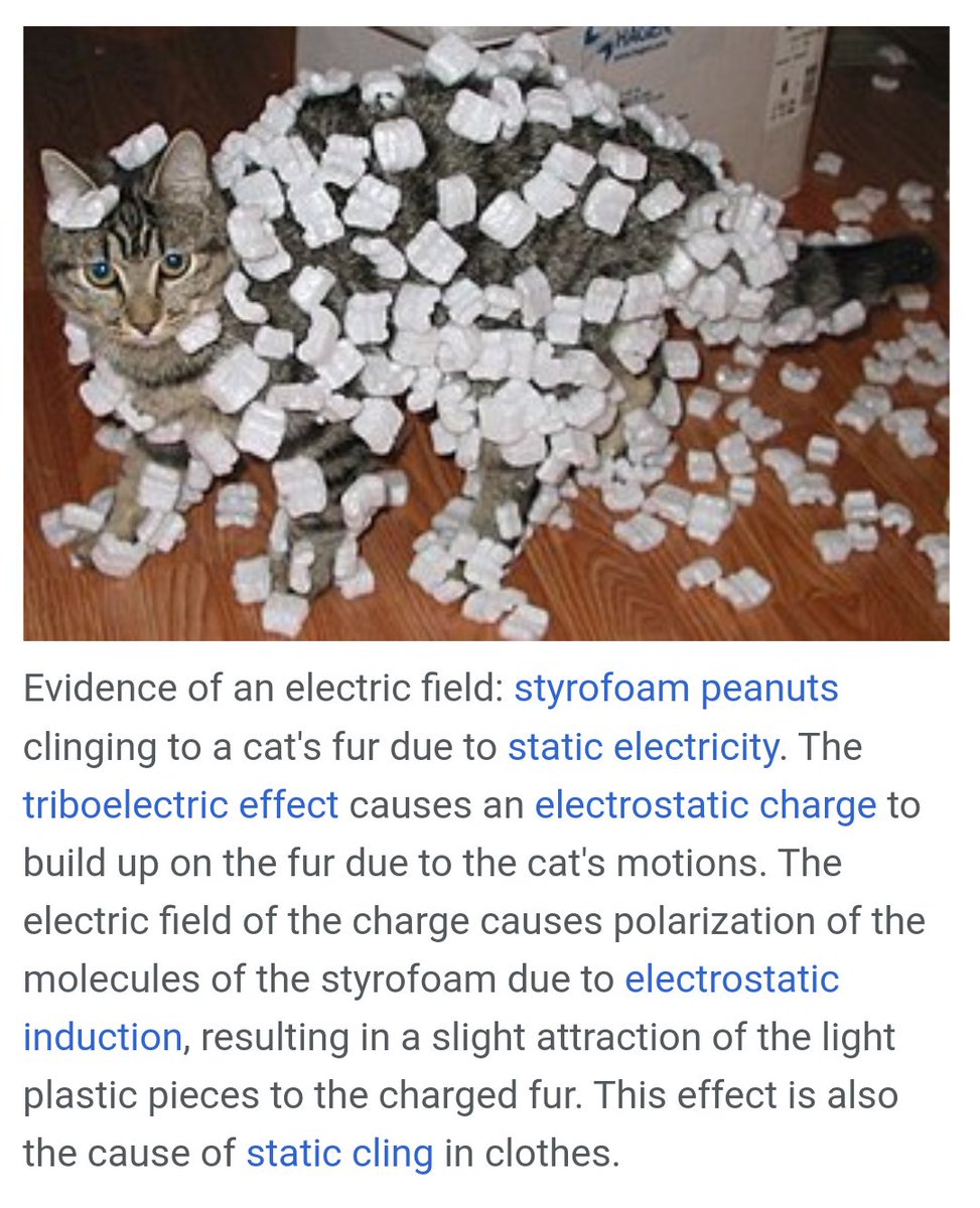 vzverovich's tweet image. Meanwhile on #wikipedia: evidence of an electric field. #catscience