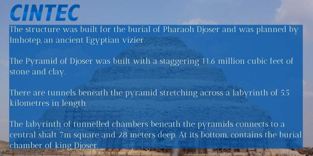 Cintec International tweet media