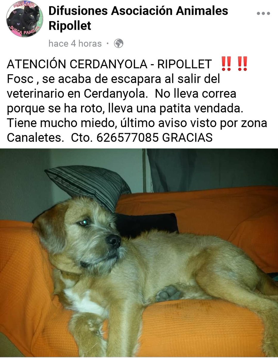 Ajudeu a difondre!!! #Cerdanyola Informa