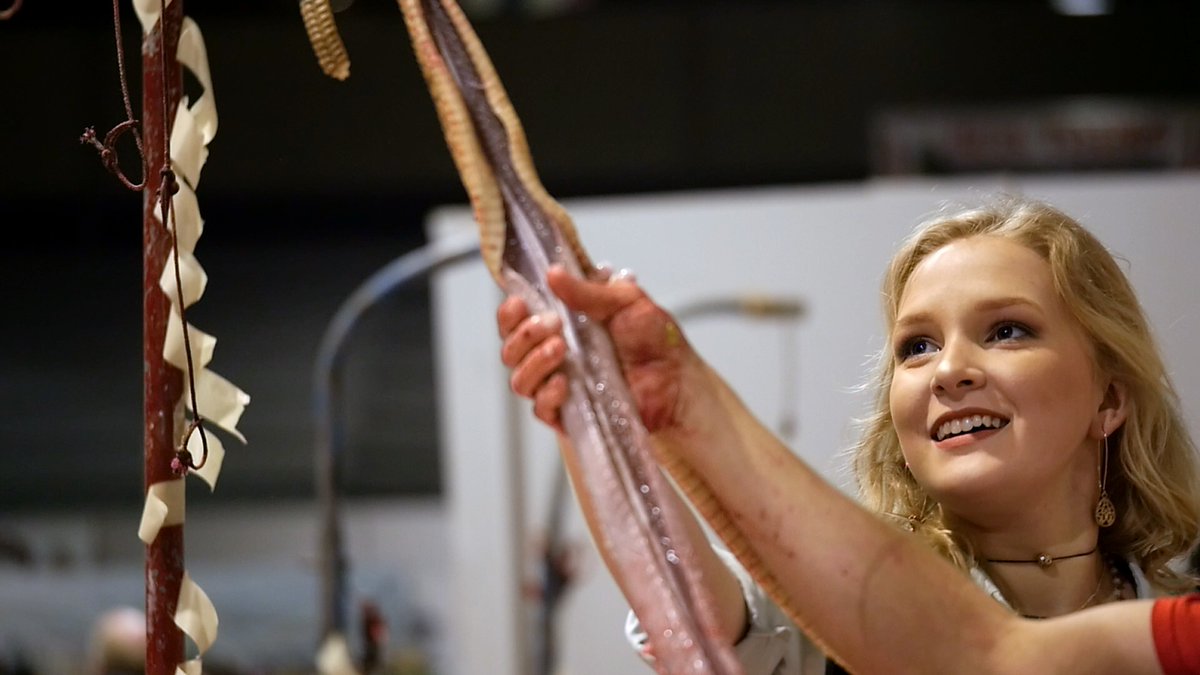 SHOOTonline's tweet photo. Co-directed and Edited By Union’s Rachael Waxler, "Miss Snake Charmer" is Released by Gravitas Ventures: Miss Snake Charmer is a feature documentary about - you guessed it - a beauty pageant in which the teen contestants must prove their bravery by… https://t.co/HIDtwls9DW https://t.co/FbqGXOB7mW