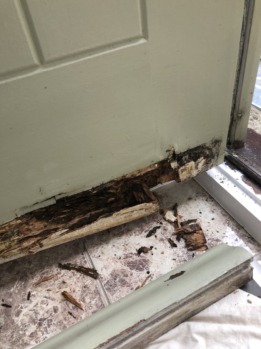 JGDecorator's tweet photo. 2nd #joinery repair job using the @repaircareuk. This time going to be using the #superfinish instead of wood filler to finish off the repair work. Then 2 coats of exterior eggshell https://t.co/qM68kN12Ge