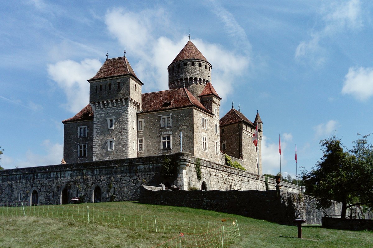 Marielle J.PdeG tweet media