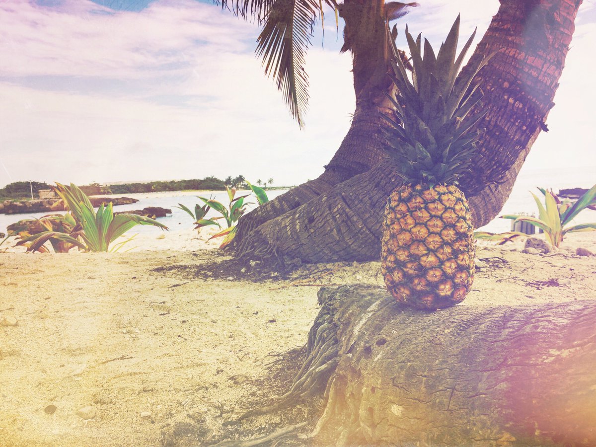 HealthyRecSea's tweet photo. Pineapple juice for weight loss! You can visit this URL:

https://t.co/lwIl2pa13a

#pineapple #pineapplejuice #weightloss #loseweight #slimming #weightlosswithpineapple #weightlossrecipe #weightlossrecipes #fatlossrecipe #fatlossrecipes #TuesdayThoughts #TuesdayMotivation https://t.co/oHhRhrEu3F