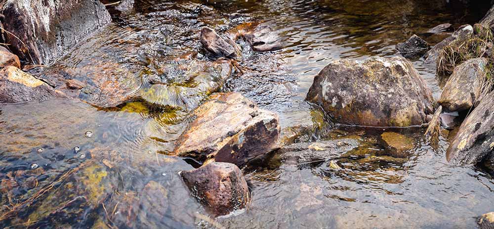 teagasc's tweet photo. It is in everyone's interest including farmers to work together to improve our water quality. Find out tips which are intended to help farmers with some water quality issues that may need to be addressed during the Winter and Spring period here https://t.co/i9bCub3Y7d https://t.co/dbkaxFEB1X
