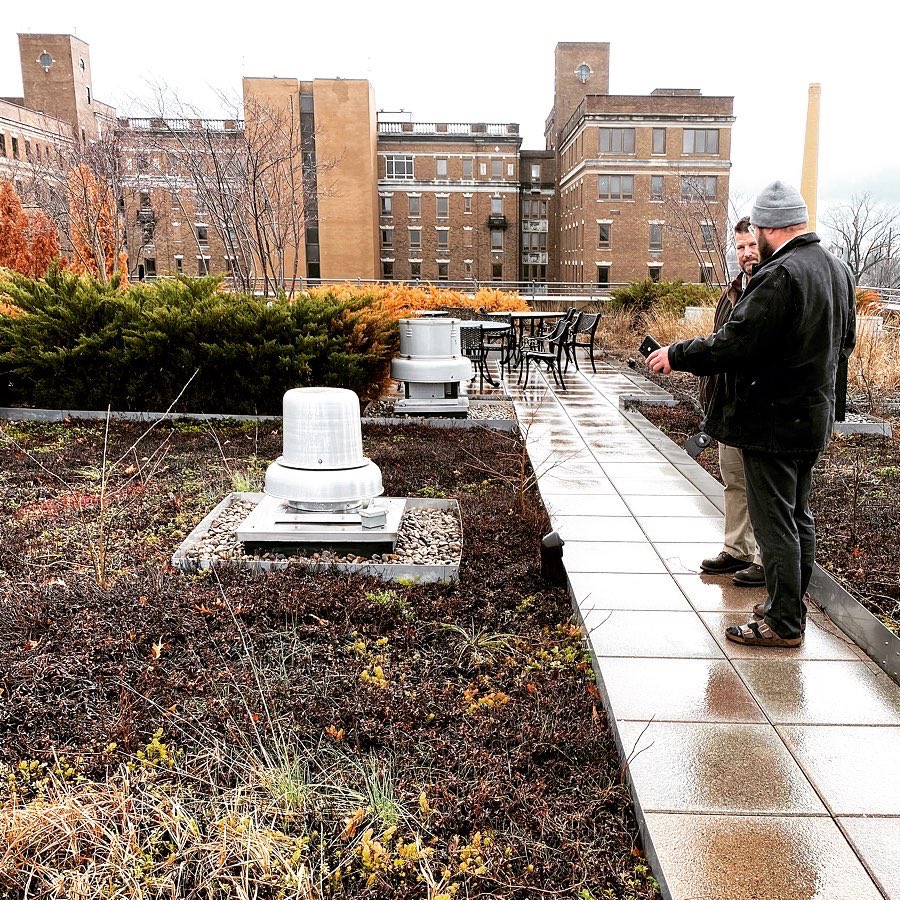 PatrickPiuma's tweet image. Hard to believe this is a rooftop in Louisville. Sorry to see it slowly atrophy awaiting a new use. The Urban Gov Center site has the potential to be a visionary model for ecological urbanism and how cities can be integrated into nature. @LouForward