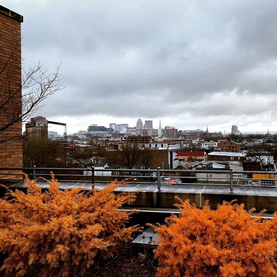 PatrickPiuma's tweet image. Hard to believe this is a rooftop in Louisville. Sorry to see it slowly atrophy awaiting a new use. The Urban Gov Center site has the potential to be a visionary model for ecological urbanism and how cities can be integrated into nature. @LouForward