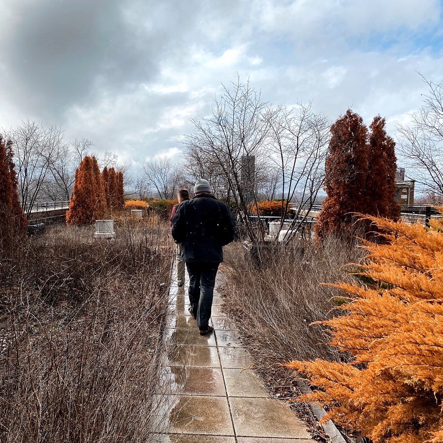 PatrickPiuma's tweet image. Hard to believe this is a rooftop in Louisville. Sorry to see it slowly atrophy awaiting a new use. The Urban Gov Center site has the potential to be a visionary model for ecological urbanism and how cities can be integrated into nature. @LouForward