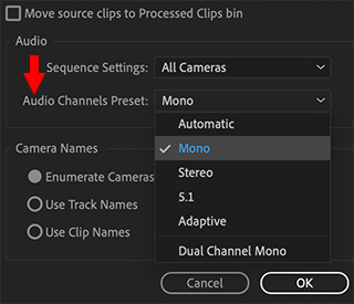 RealInsideTips's tweet photo. After you've created your #multicam clip, what options to you pick for best results during your audio mix? 

Today's Trending Tip has the answer!

https://t.co/oF7kqZk11f #PremierePro https://t.co/yahOa6WsIA