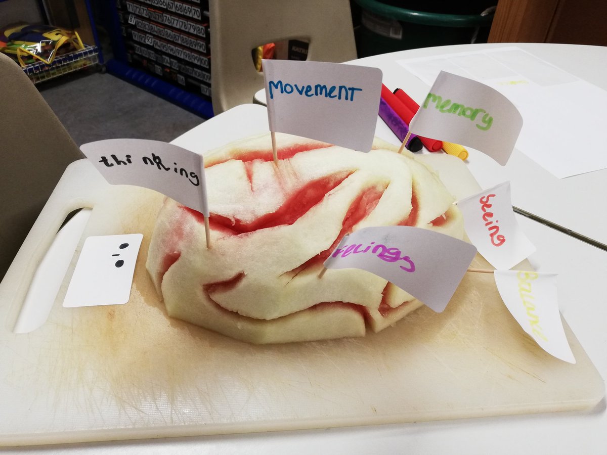arches_the's tweet photo. Using the model brain we carved from a watermelon to explore how the brain works. Good eating too!  @ProfStevePeters #HiddenChimp #SelfRegulation #WeveAllGotChimps #InspiringLearning https://t.co/1L7ujxNBQu