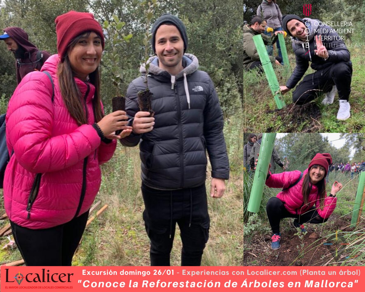 LOCALICER's tweet photo. 🌿Anunciantes destacados eligieron plantar un árbol en #ExperienciasLocalicer: 🌍Contribuyen a disminuir el #CalentamientoTerrestre y la huella de carbono de la actividad de los negocios🐾en el #DíaMundial por la Reducción de las #EmisionesCO2 
+Info: https://t.co/EwBgIkXaGO https://t.co/rJ7xHO1pWg