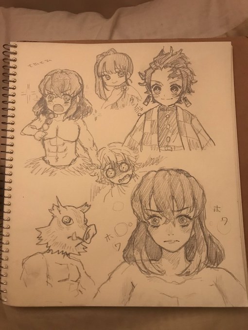 鬼滅の落書きした
当アカウントは伊之助推しです?
初めて伊之助以外も描いたけどみんな髪型難しすぎるわ…… 