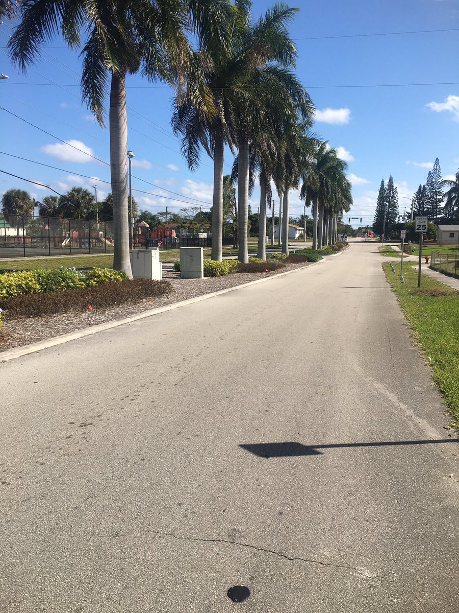 GDunmyer's tweet photo. #BoyntonBeach On NW 17th Ave, west of Seacrest, the City installed pedestrian crossings and will be removing the plantings from the landscape islands.  Check back in 2 weeks for after pics. https://t.co/vJduWoRojB