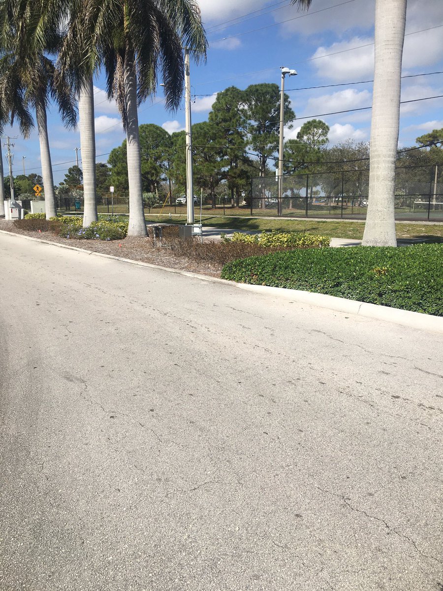 GDunmyer's tweet photo. #BoyntonBeach On NW 17th Ave, west of Seacrest, the City installed pedestrian crossings and will be removing the plantings from the landscape islands.  Check back in 2 weeks for after pics. https://t.co/vJduWoRojB