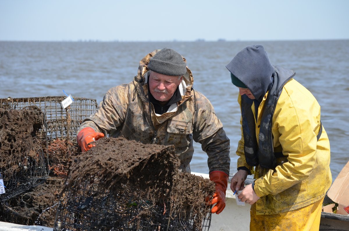 A fisher hauls a derelict crab trap on to a boat.