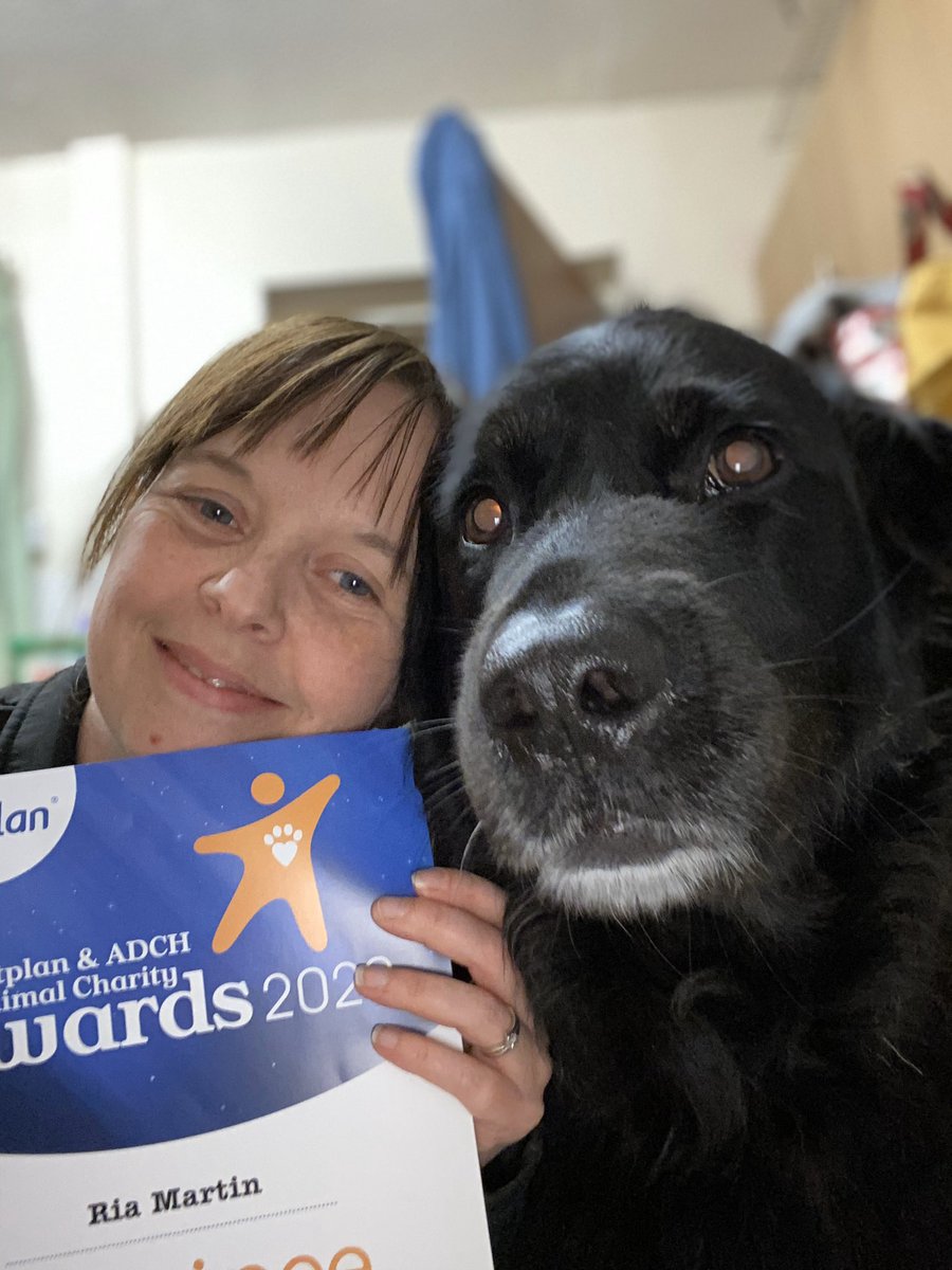 rem27's tweet photo. Some lovely person nominated me for a pet plan Animal Charity Employee of the Year Award!! Thank you who ever you are it made my day!! ❤️🐶🐾#dogstrustloughborough #volunteercoordinator #dogstrust #bestjobever #adogisforlife #AnimalCharityAwards https://t.co/SY39PY3K6I