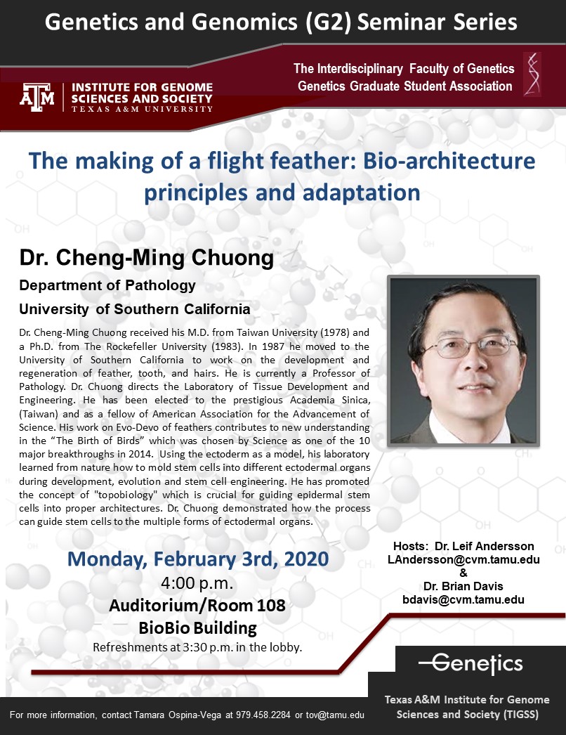 TAMUGENE's tweet photo. Our next G2 Seminar is this coming Monday, Feb. 3 at 4:00 pm in BioBio 108 with Dr. Cheng-Ming Chuong from the University of Southern California.
"The making of a flight feather: Bio-architecture
principles and adaptation"
Don't miss it!
#TAMUGENE #GGSA #cvmgsa #tamuvetmed https://t.co/PLENUeAoud