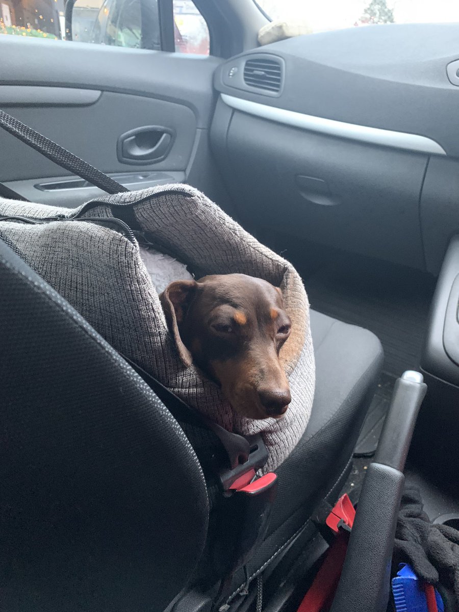 JaneyGodley's tweet photo. She was giving me this face #amhome https://t.co/bKdZGGpczy