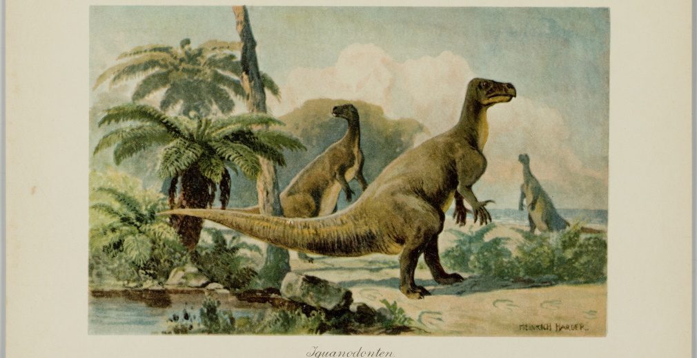 Heinrich Harder, Diplodocus, ca. 1916, chromolithografie. Verzamelkaart uit Wilhelm Boelsche, Tiere der Urwelt. Collectie Chris Manias, Londen.