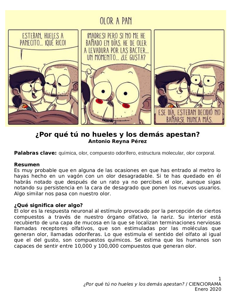 Cienciorama's tweet photo. #ArtículosCienciorama
#ArtículoNuevo
¿Por qué tú no hueles y los demás apestan? por Antonio Reyna Pérez.
#química #olor #compuestoodorífero #estructuramolecular #olorcorporal
Modo web 👉🏾 https://t.co/kQedSOVnFm
Modo pdf 👉🏾 https://t.co/CgxG1mLwKa https://t.co/1B1kc4LKVY