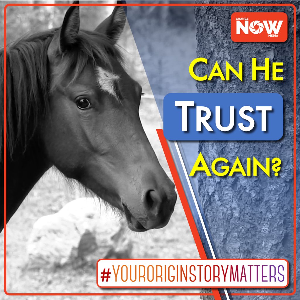 ChangeNowMedia's tweet photo. Discover the remarkable story of advocates saving horses from being slaughtered for food. Your story matters. From how you got started to how you do the hard work to bring your vision to life. Let's tell it together. #ChangeNowMedia #YourOriginStoryMatters https://t.co/t16AIi68hz