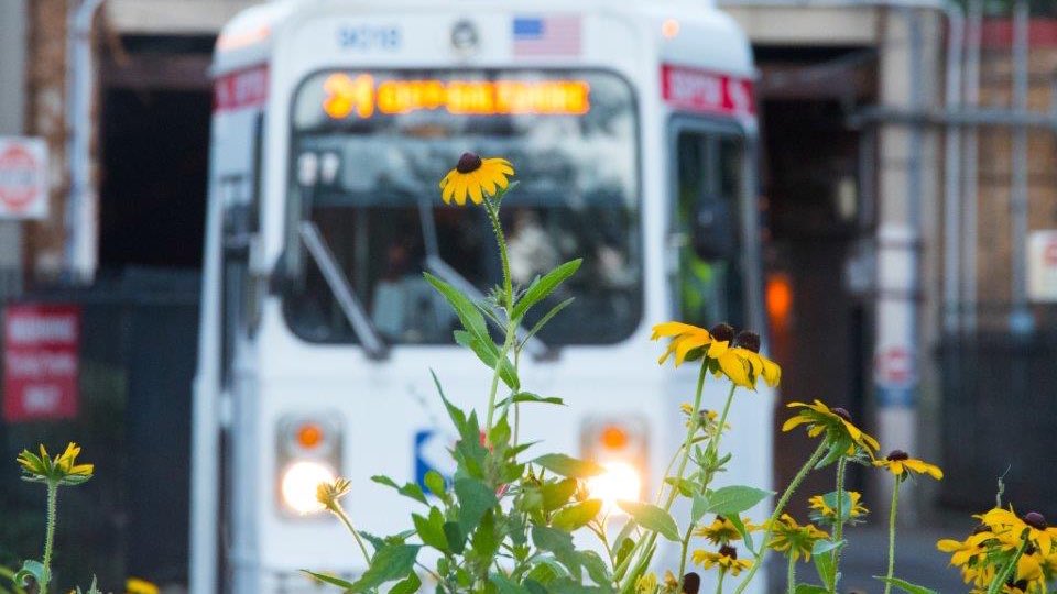 MattBergheiser's tweet image. Every gift matters to a non-profit organization. But some gifts are truly special.  Two community members, who have worked tirelessly for decades to shape a special place, decided to invest in an enduring symbol of their commitment to @ucdphl. #philly universitycity.org/blog/two-dedic…