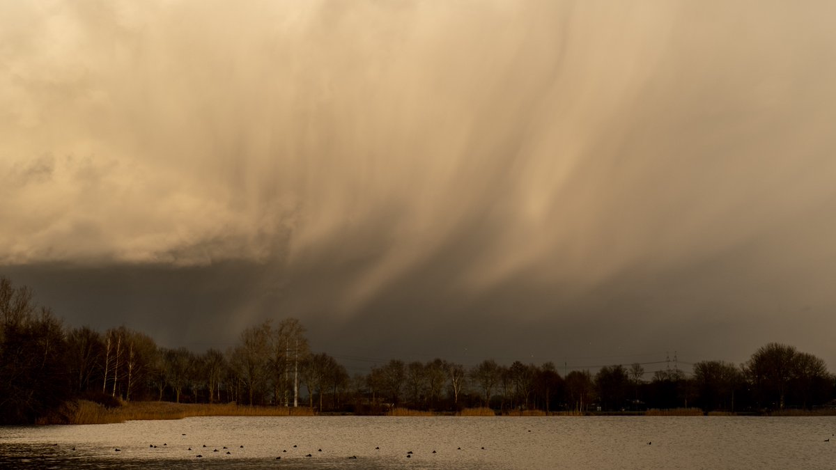 burryandenbrink's tweet photo. Vandaag veel #wind en felle #buien maar ook #zon #hond #kooiker #achterhoek #dreigend #wolkenlucht #stroombroek @weeronline #hagel #regen #winter https://t.co/qlXhYGPYpP