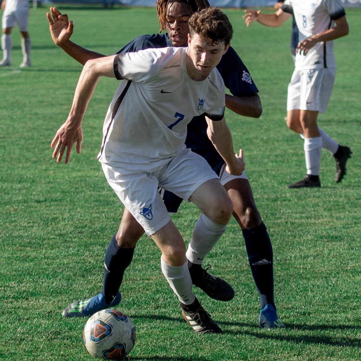norsesports's tweet photo. Former Norse Men's Soccer player Aidan O’Driscoll has been nominated for the Duane Schroeder A-R-C Male Scholar-Athlete of the Year award. #gonorse #luthercollege #comeonyounorse https://t.co/1egCE1s6za