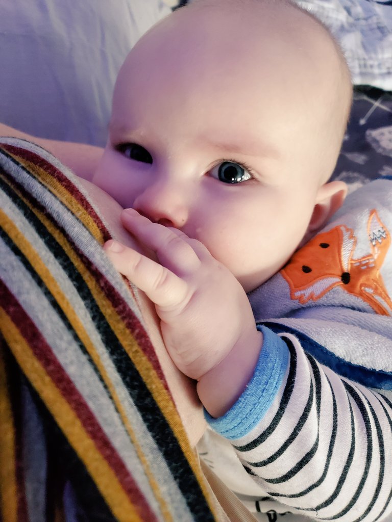 torppasaurus's tweet photo. My little milk monster ❤🤱 This picture means more to me than twitter gives space to explain, yet its the only place I can share it without being scared of judgement. #breastfeeding #EBF #boymom #FTM https://t.co/fhXPmtVXDj