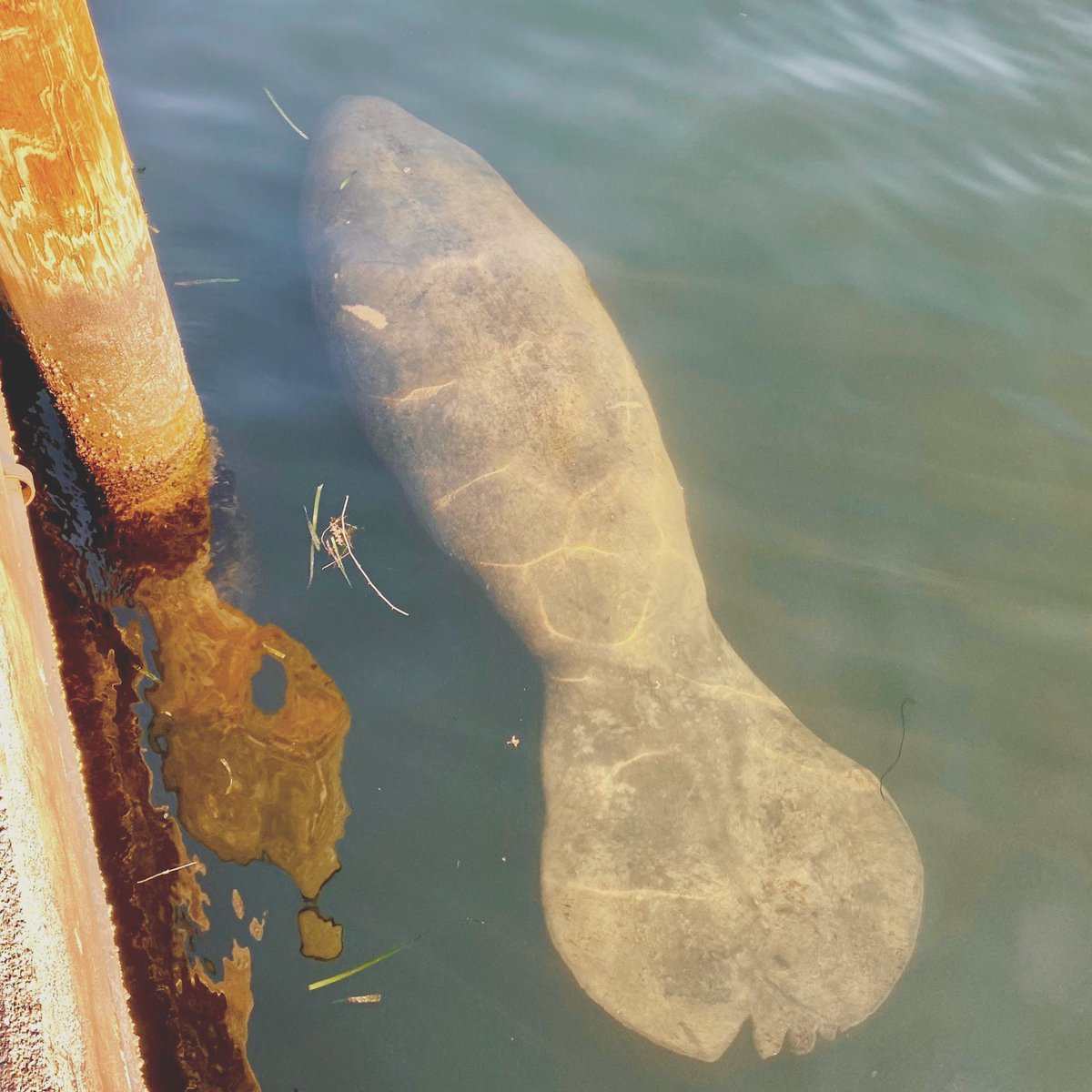 Look who joined us at this SKO!

#keylargo #keylargoflorida #corporateeventplanning #eventplanning #irelandpresentations #ipi