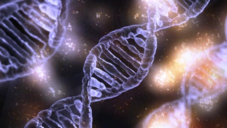 EmoryPsychology's tweet photo. Recent @biorxivpreprint from @LabBga highlights the advantages of using multiple species evidence to isolate #genetic factors to better understand the etiological complexity of #tobacco and other #nicotine consumption. Check it out here: https://t.co/ZRaZoKnRIj  #ScienceTwitter https://t.co/y5TecvxpeD