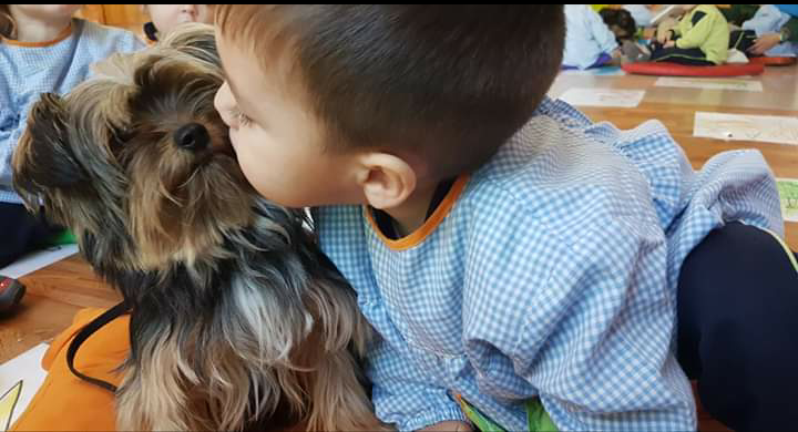 Humanymal's tweet image. Los lazos afectivos entre los pequeños alumnos de la Escuela de educación infantil Elisa Tomás Yusti y sus compañeros caninos, casi pueden acariciarse con las manos... :-) Proyecto Huellas de Colores - #educacioninfantil asistida con #perros. #niños