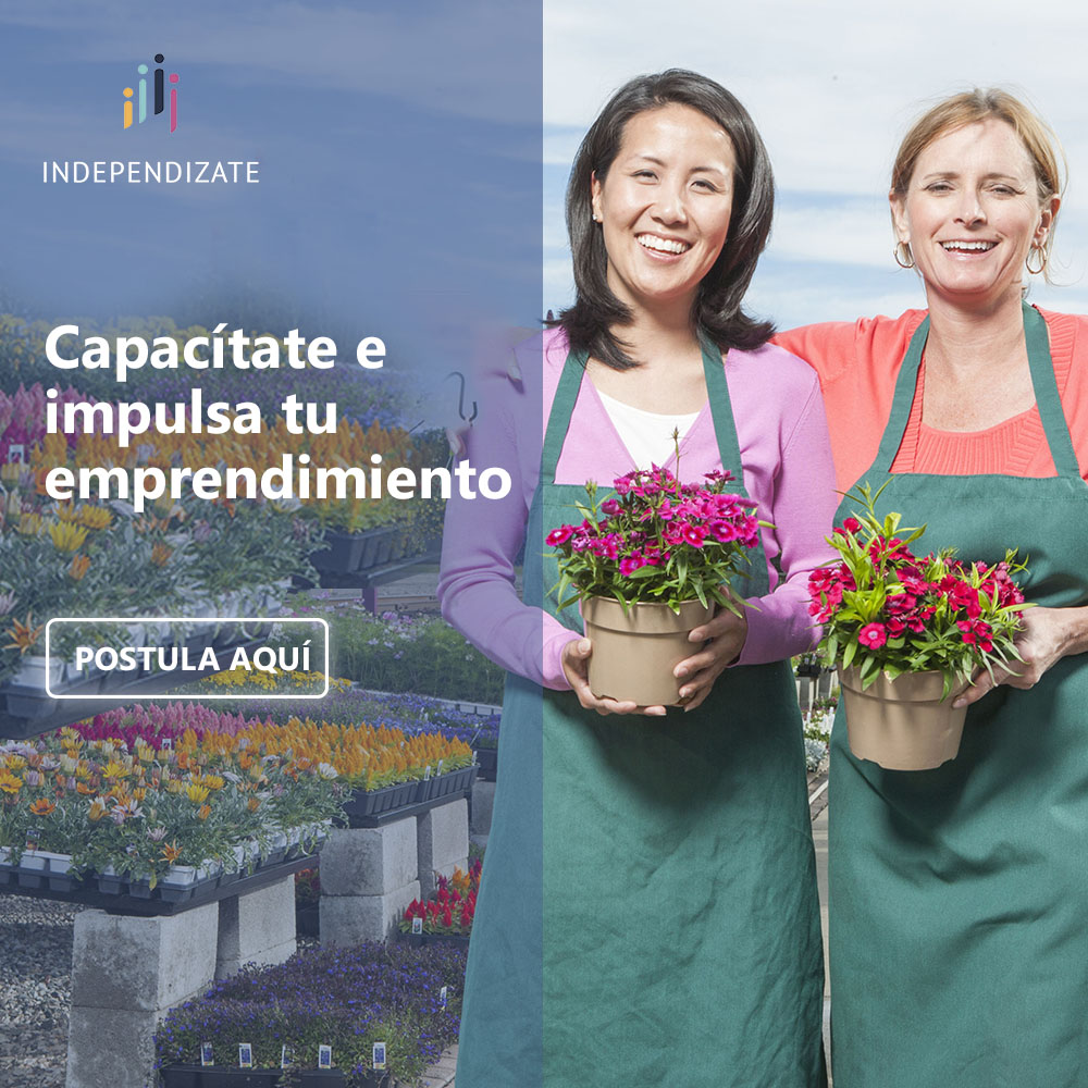 FIndependizate's tweet photo. Aprende herramientas de planificación y gestión para tu negocio con el #ProgramaConsolida de #FundacionIndependízate.
Con 8 sesiones teóricas-prácticas, asesoría técnica y una mentoría te harás de herramientas para fortalecer tus negocios.  Postula aquí https://t.co/srH52OIAfZ https://t.co/UCwWUOkjWL