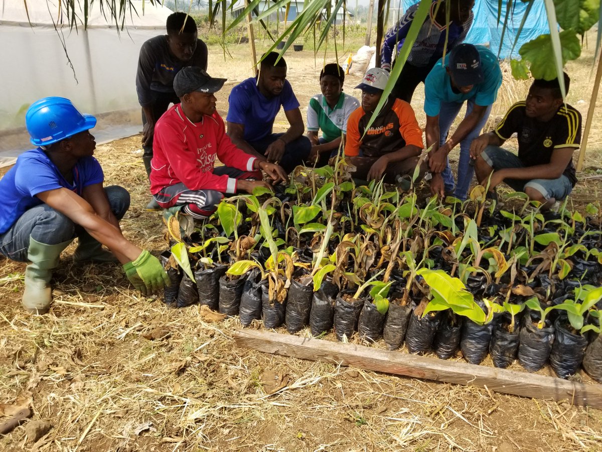 YestInitiative's tweet photo. Our president has sent youths into the farms. For us, we are fighting against hunger. Second phase of our project PVCA with the Agriculture volunteers.
@SDGscameroon
@pnudcameroon
@nohunger
@theafricawewant.
@DFARMA https://t.co/v5JaQBKdlk