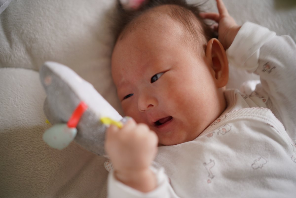 Irene Fu tweet media