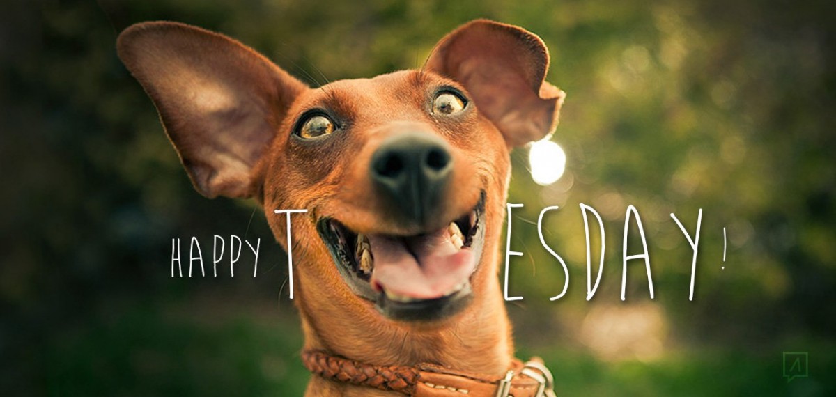 Happy Tuesday! Visit ow.ly/DT4050uROO2 to get started today! #PWSBizLife #PWS #SPK #StartYourBusiness #GrowYourBusiness #MoveInReady #ProfessionalOfficeSpace