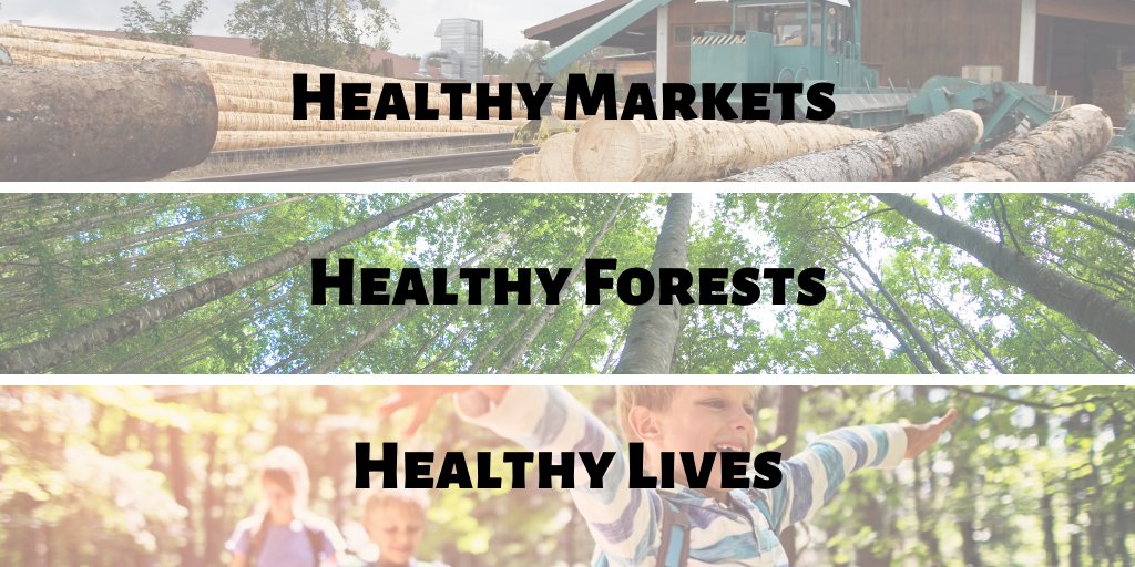 StateForesterMS's tweet image. Forests are one of the greatest resources at our disposal. In order to keep our forests healthy, we must have healthy markets for forest products. Healthy markets equal healthy forests which lead to healthy lives. #MSforestry
