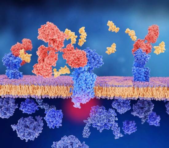 ConSalud_es's tweet image. RT @quironsalud: ¿En qué consiste la vacuna de la #migraña? Te explicamos este reciente tratamiento para prevenir las crisis migrañosas de la mano de Quirónsalud Tenerife y Costa Adeje ow.ly/2HXU50y6E8d