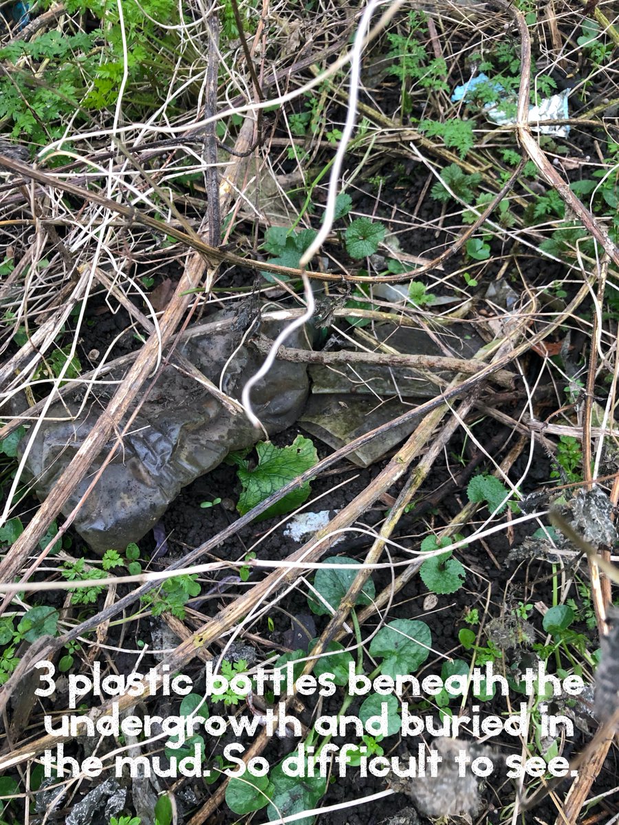 Update from our first Litterpick of 2020! Thanks so much to all who donated their time to help us clean up the Mill Dene area banks of the River Don.