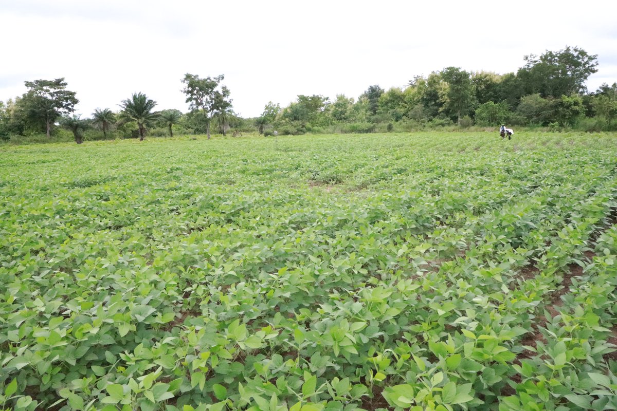 Programme ACMA3 tweet media