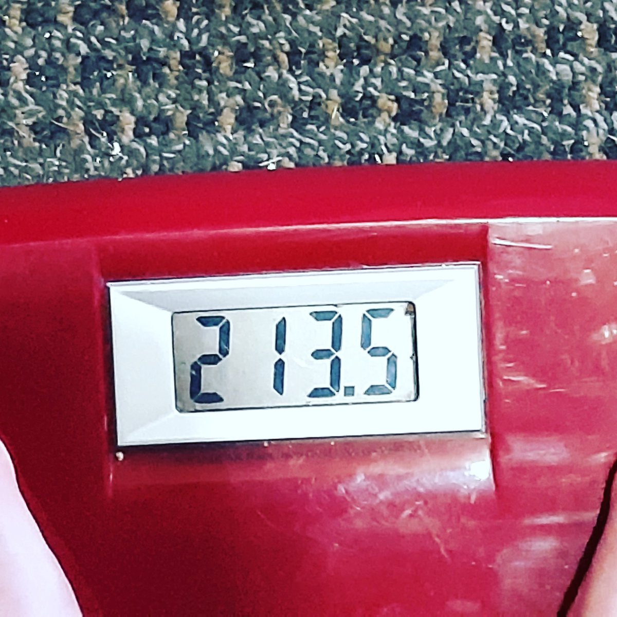 Ann28356568's tweet photo. Down a couple more pounds! Love using smaller plates to help with portion control too
#weightloss #progress https://t.co/34uQmZ7Xes