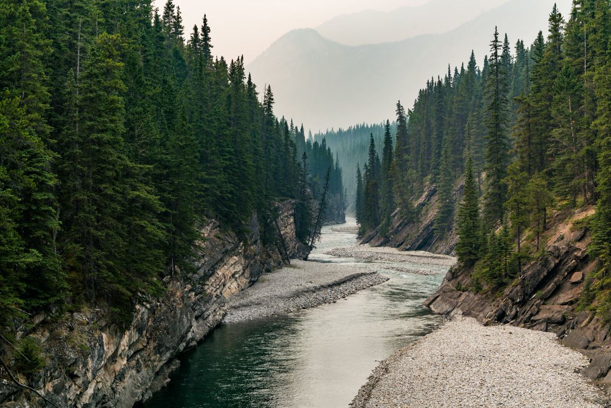 FPAC_APFC's tweet photo. Canada’s forest products sector is already a world leader in reforestation and sustainable forest management, as well as in watershed and biodiversity conservation. Here's how we’re challenging ourselves to do even more: https://t.co/CEbdOwaMKv 🌲 https://t.co/JkGVmrsYI9
