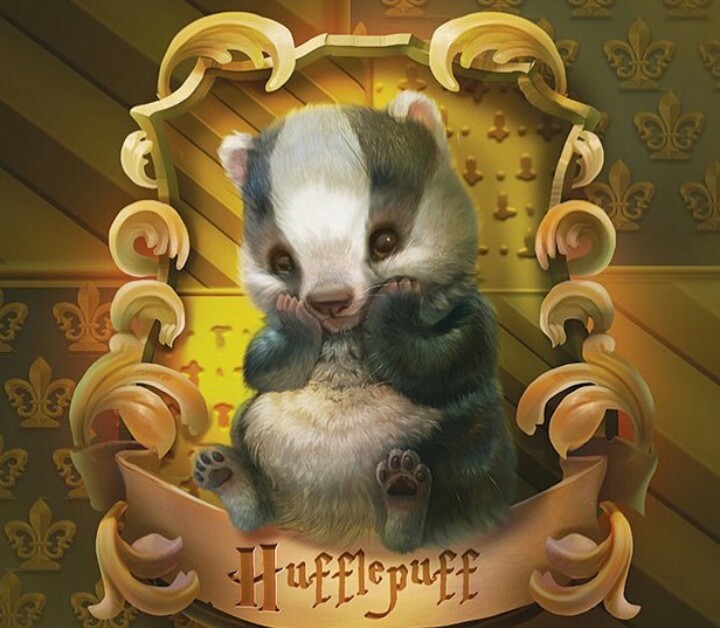 Fan_HarryPotter's tweet photo. A FOFURA CHEGOU EM HOGWARTS! (Imagens por: https://t.co/xMinHz8ktf) https://t.co/28QamhNzoz