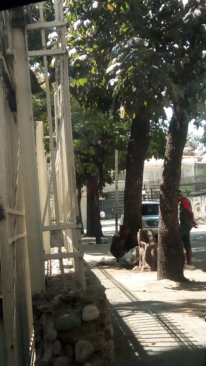 lellysg's tweet photo. #LAMONACONOESBASURERO 
@PolisucreOficia
 
@alcaldejvra
 
@INTToficial
 Justo a esta hora así se encuentra la calle Mónaco en la 
@LaCalifornia_N
 entre los indigentes que traen la basura para luego comer y algunos vecinos que se dan la tarea de dejar sus desperdicios en la acera. https://t.co/secLG59hLu