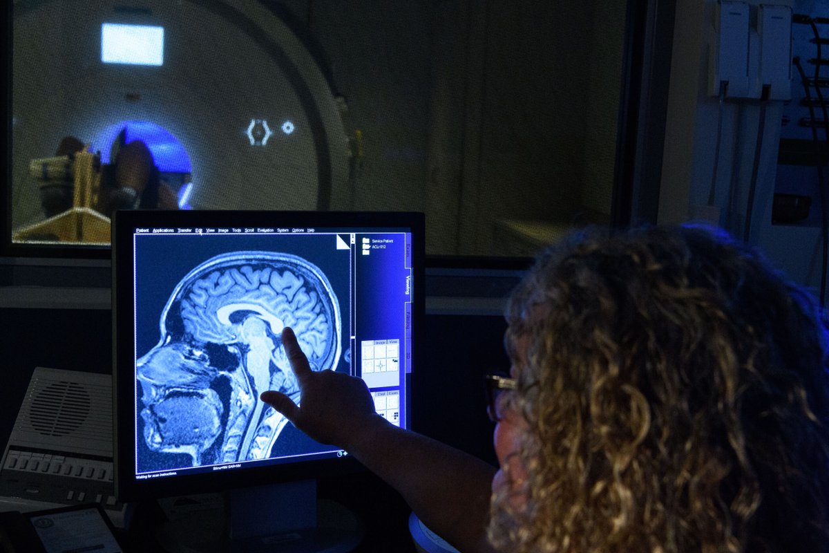 A researcher looks over a scan of a patient's brain.