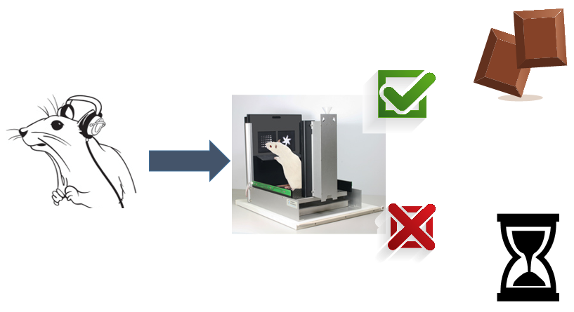 They worked really hard, training five days a week for ~9 weeks 🗓️