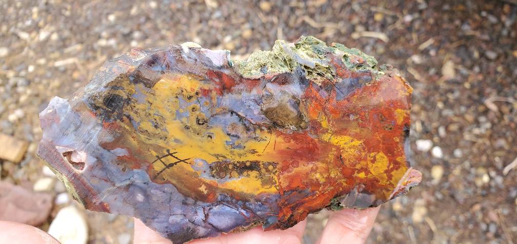 ShopCaldera's tweet image. Purple cow jasp agate slab 
#purplecow #seethehashtag #jasperrock