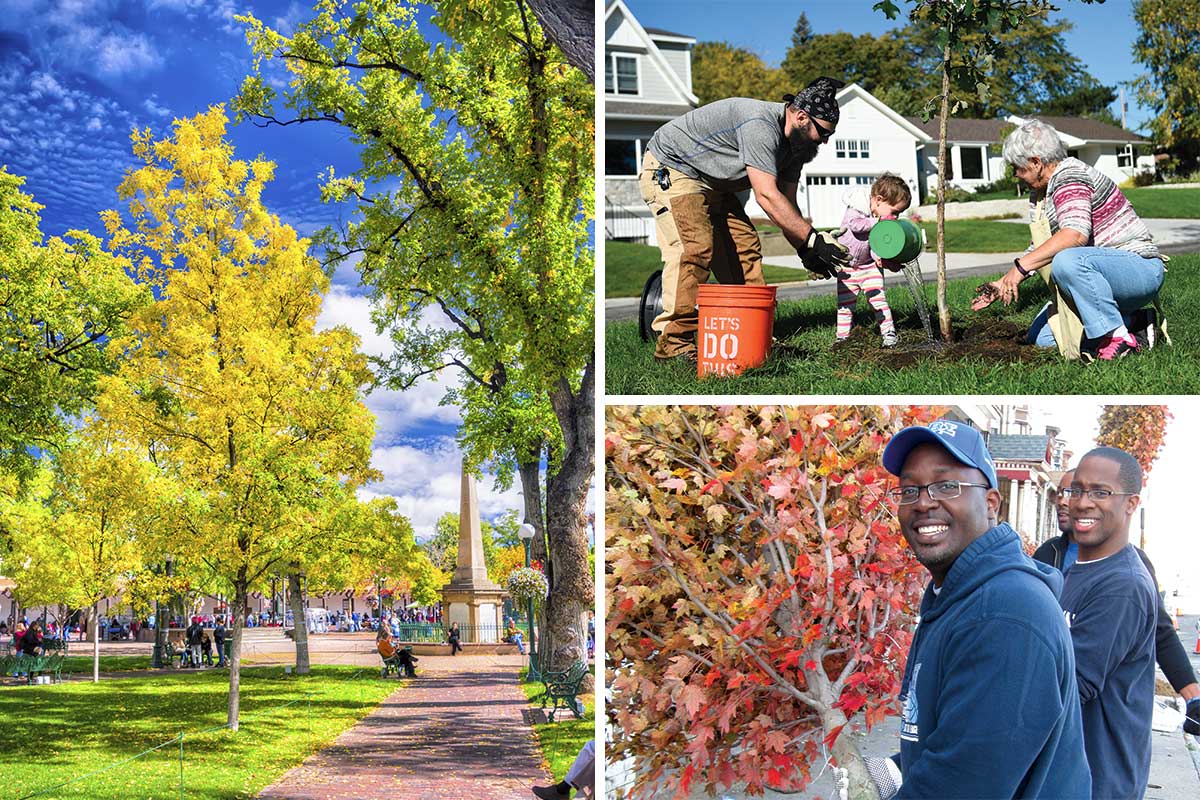 timefortrees.org/inspiring-peop…