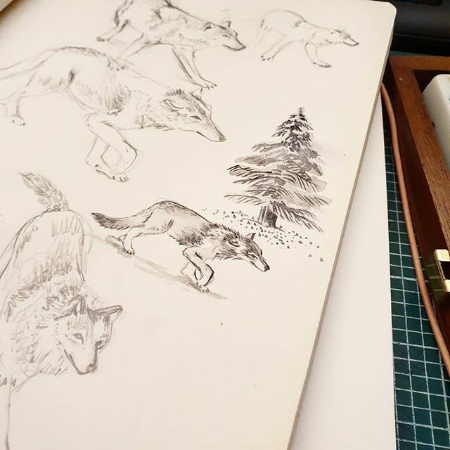 MarisaJaneD's tweet photo. 🐺 Always fun to get to know an animal by making sketches of it. I can see why wolves have been involved in folklore for centuries, there seems to be a wisdom in their eyes. They are the untamed cousins of our household pets. 🐶
 Whilst developing this… https://t.co/DnHm6iKqMk https://t.co/CwMlQ53ibH